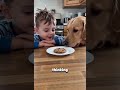 He gave him the bigger piece 🥺🍪 This is the purest thing I have ever seen 😭🐶 #toddlerlife