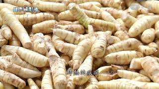 最早太白粉~葛鬱金 好處多多