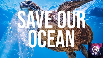 POWERFUL VIDEO: Why We Need to Stop Plastic Pollution in Our Oceans FOR GOOD | One Earth