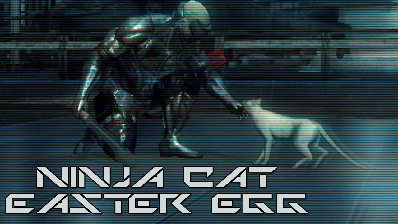 coolmath3 cat ninja coolmath3 cat ninja