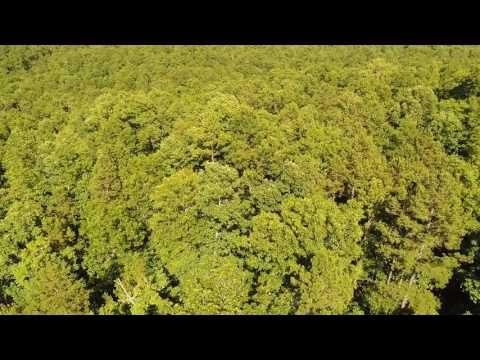 Drone Video - Tract 18 at Turkey Hollow - $500 down & NO credit checks!