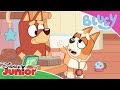 🚑 Dr Bingo | Bluey | Disney Junior UK