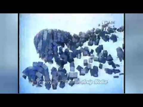 [SINDO TV 🇲🇨] - Station ID Sindo TV 2014 (15s)
