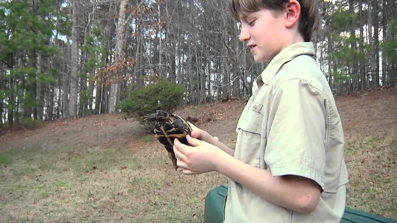 My Reptile Guys - Baby Ivan - YouTube