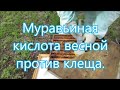 Весенняя обработка от клеща снова муравьиной кислотой? Часть первая.