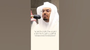 #تلاوة_خاشعة #ياسر_الدوسري #ماشاءالله #القران_الكريم_راحه_نفسية #القران_الكريم #القدس #تلاوة