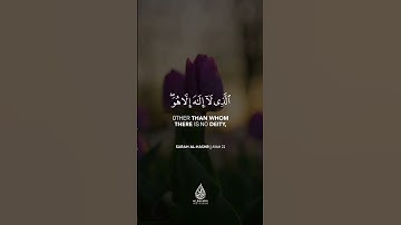 سورة الحشر- هو الله الذي لا إله إلا هو💜🌸حمزه يوتيوب