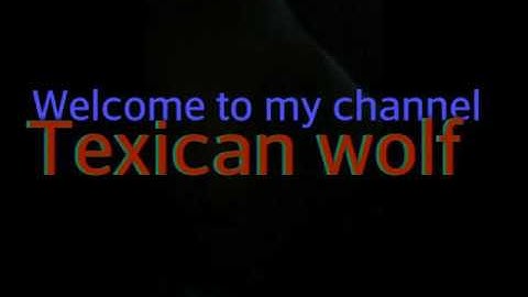 My new intro-Viva Video