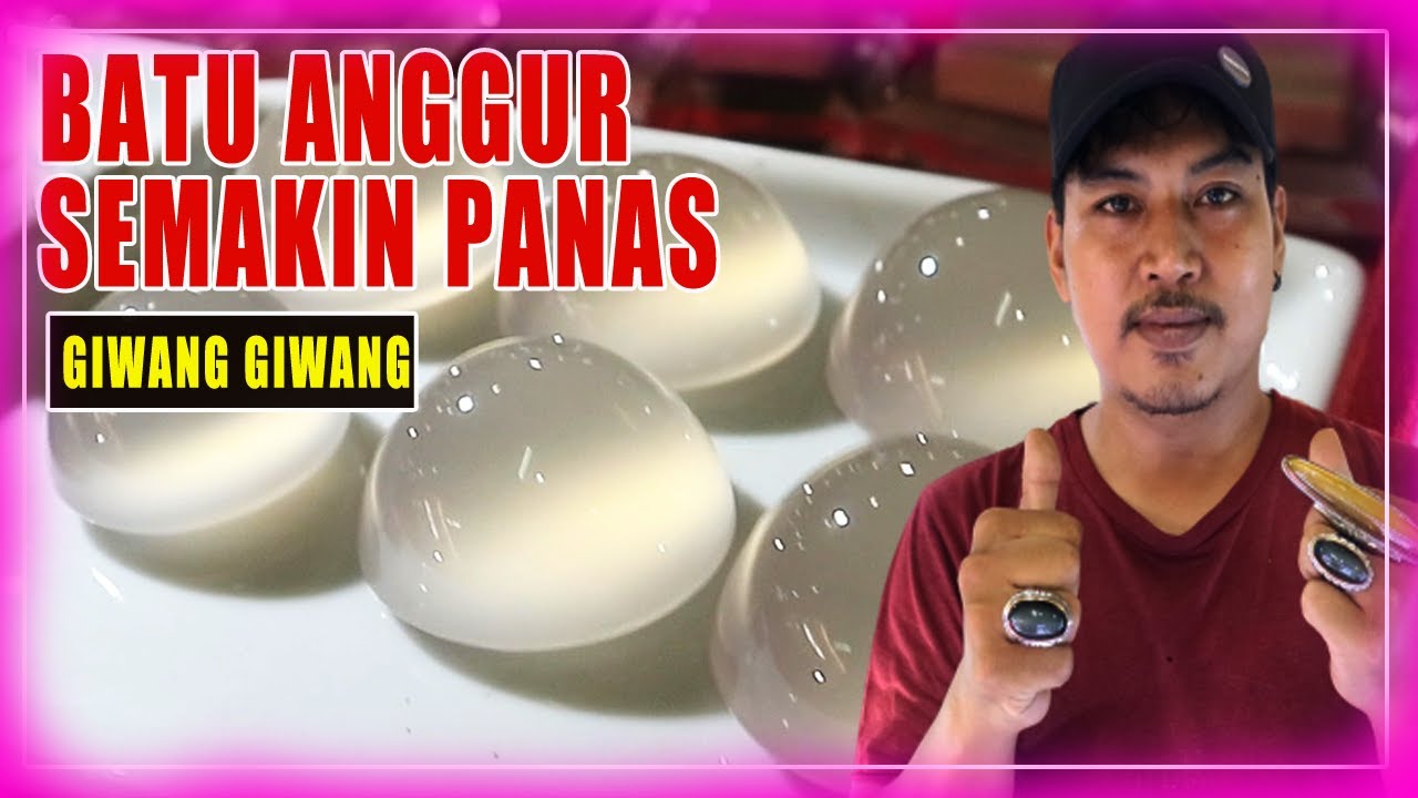 BATU ANGGUR LAWAS WAYKANAN PANCAWARNA GARUT NUKLEUS RAFLESIA | JAKARTA  GEMSTONES MARKET (INDONESIA)