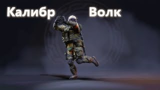 Калибр | Штурмовик 