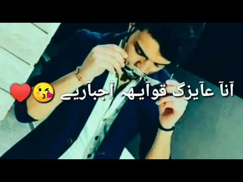 مهرجان انتي اجدع فيتامين انتي ولا في السنين