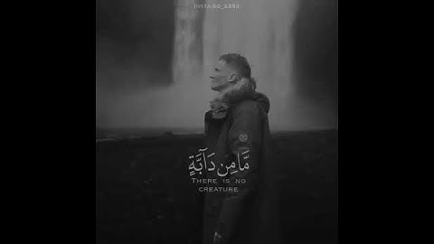 قرأن كريم بصوت القارئ رعد الكردي تلاوة خاشعة ارح قلبك ♡ حالات واتس اب / Quran ststus