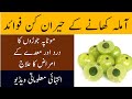 آملہ کھانے کے فائدے Amla Ke Fayde Amla Powder Khane Ke Herat Angez Fawaid Dr Bhatti آملہ کھانے کے فائدے Amla Ke Fayde Amla Powder Khane Ke Herat Angez Fawaid Dr Bhatti