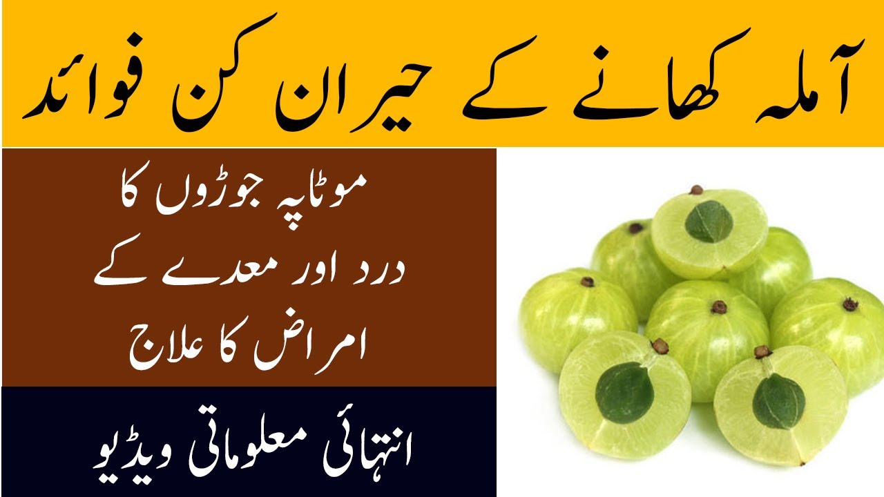 آملہ کھانے کے فائدے Amla ke fayde Amla Powder Khane Ke Herat Angez