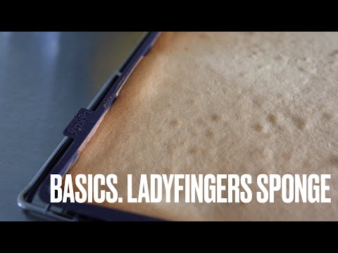 Sponge Cake Texture