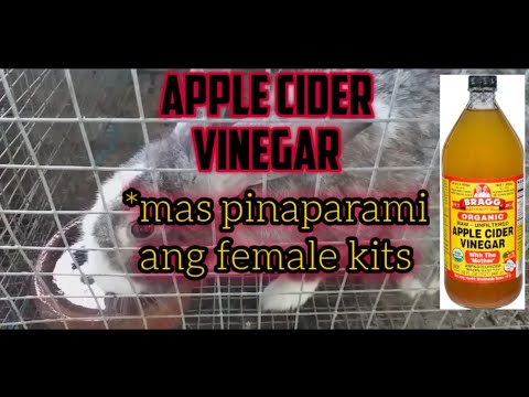 Video: Maaari Bang Magkaroon Ng Apple Cider Vinegar Ang Mga Alagang Hayop?