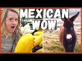 We Visit Real De Catorce + Shop at Mexican Walmart! RV Mexico