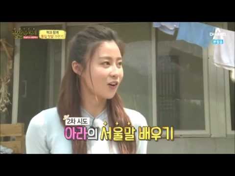 잘살아보세 아라 서울말