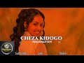 Bongo Fleva Instrumental Beats 2026 Cheza Kidogo 