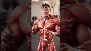 knowledge about muscle #human anatomy #muscle growth #recovery #muscle health #how to grow muscle