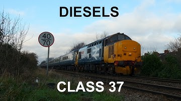 Diesels: Class 37