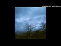 SALEM - doggy sweat (heather mix)