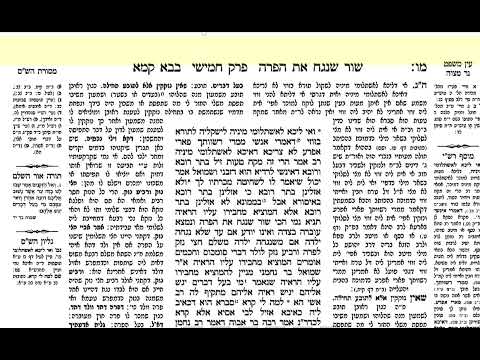 הדף היומי בבא קמא  דף מח