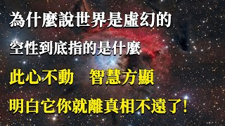 為什麼說世界是虛幻的空性到底指的是什麼此心不動智慧方顯明白它你就離真相不遠了#能量#業力#宇宙#精神#提升 #靈魂 #財富 #認知覺醒