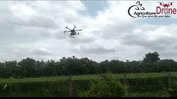 agriculture drone for spraying fertilizer and pesticides in grapes crops