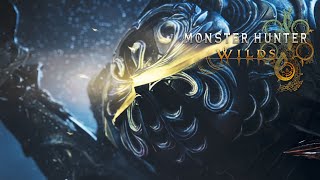 ガチソロで零式オメガ・プラネテス討伐チャレンジ【モンハンワイルズ/PS5pro】