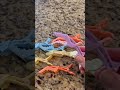Honest Review of FRAMAR Pastel Alligator Hair Clips