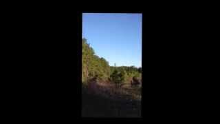 Exploding Rifle Targets vs. Microwave - Porter's Sporting Goods Flint, TX