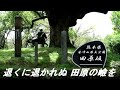 悲恋の若武者 橋幸夫