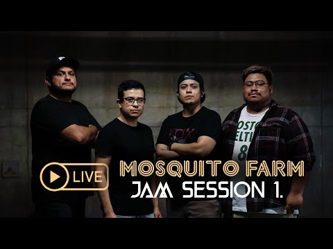 Mosquito Farm: Jam Session 1