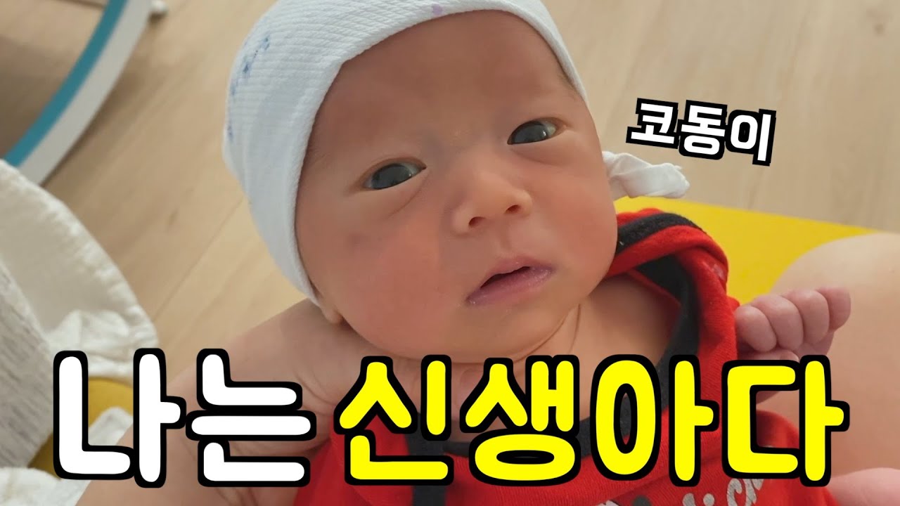 (신생아) 미국 사는 K-baby 아기 모음 🍼 미국 육아 👶