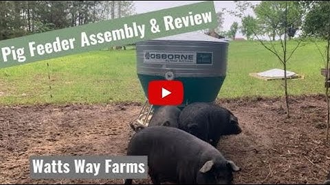 Osborne Big Wheel 45 bushel Outdoor Pig Feeder Assembly and Review