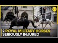 Military horses that ran loose in London in &#39;serious condition,&#39; may never serve again: British Army