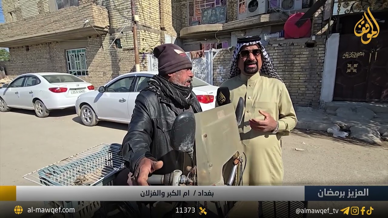 العزيز برمضان | بغداد - ام الكبر و الغزلان