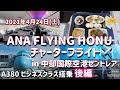 【vlog】✈️ANAフライングホヌ 後編「FLYING HONU」チャーターフライト4月24日中部国際空港発 エアバスA380 セントレア遊覧飛行 ビジネスクラス搭乗記 NH2030🌈