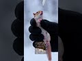 Found a Freezing Baby Squirrel in the Snow! ❄️🐿️ (Heartbreaking Rescue) #animalrescue #heartwarming
