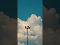 Finding Peace in the Sky 🕊️ (Cinematic Short on S23+) #nature #colorgrading