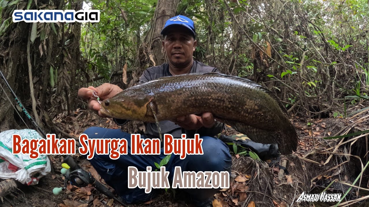 Menjejak Sport Bujuk Dara, !!! Bagaikan Syurga ikan Bujuk