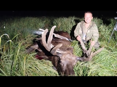 ОХОТА НА ЛОСЯ И БОБРА !!! РЕБРА ЛОСЯ ГОРЯЧЕГО КОПЧЕНИЯ