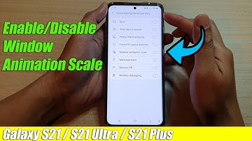 Galaxy S21/Ultra/Plus: How to Enable/Disable Window Animation Scale