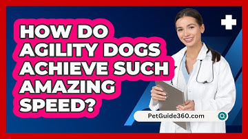 How Do Agility Dogs Achieve Such Amazing Speed? - PetGuide360.com