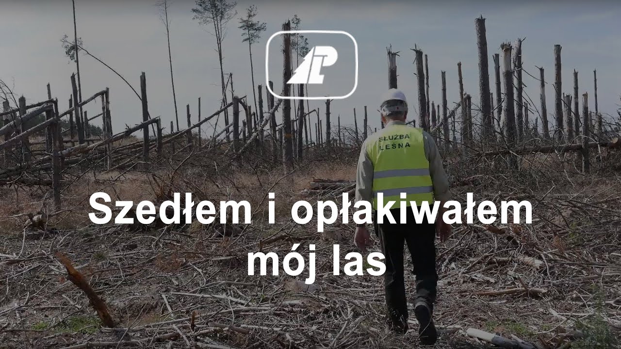 Szedłem i opłakiwałem mój las - leśniczy wspomina skutki huraganu stulecia