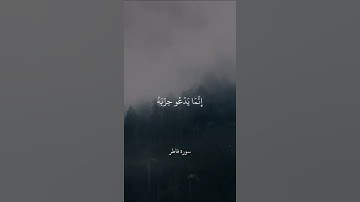 إِنَّ الشَّيْطَانَ لَكُمْ عَدُوٌّ   سورة فاطر   علي جابر