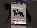 A Canter as smooth as velvet 💗