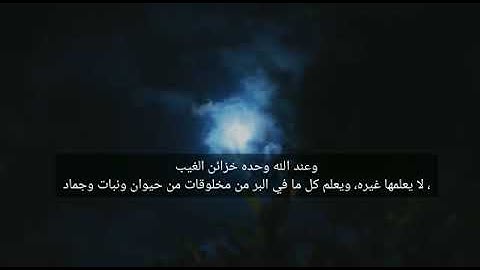 تلاوه خاشعه💙 ، تأمل قدرة الله سبحانه جل جلاله في تدبير الكون .