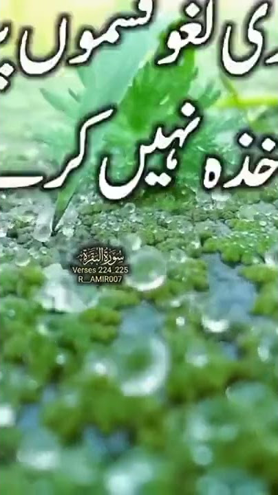 💕Heart Touching  Quran Status || Quran Urdu translation WhatsApp status #tiktok #quran #love